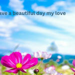 Have a beautiful day my love